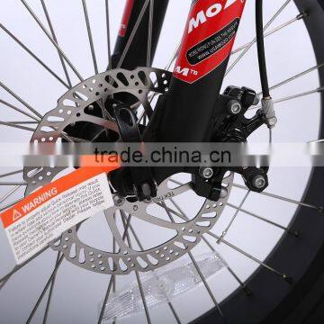 China Factory Wholesale 20 Inch Folding Ebike Fat Tire Beach Cruiser Electric Bike photo-6