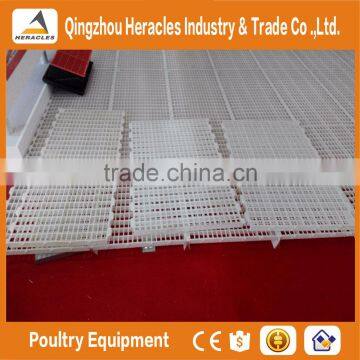 Heracles Series 2016 New Poultry Plastic Chicken Floor for Poultry House photo-3