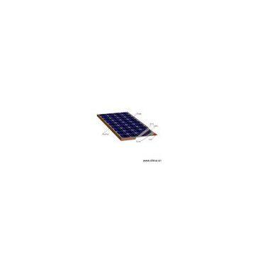 Sell Solar Module