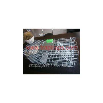 Folding live animal Dog Trap for hunting