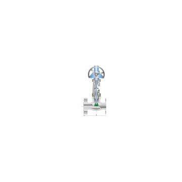 globe valve