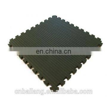 Jigsaw Jiu Jitsu Mat Tatami EVA Taekwondo Mat