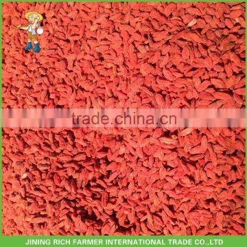 Ningxia Organic Dried Goji Berry (Wolfberry)