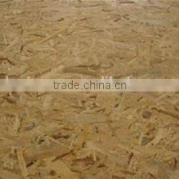 Bulgaria OSB plywood