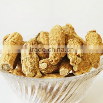 Pure Natural American Panax Ginseng Root in Good Quality