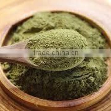 organic moringa powder for men