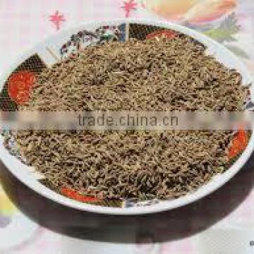 Best Quality supplier for Cumin seeds powder