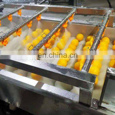 Industrial Brush Roller Fruit Washing Vegetable Washer Apple Fruit Washing Machine photo-4