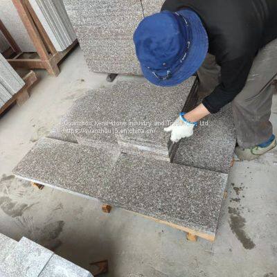 Popular Chinese G664 Granite Fire Floor Tiles photo-3
