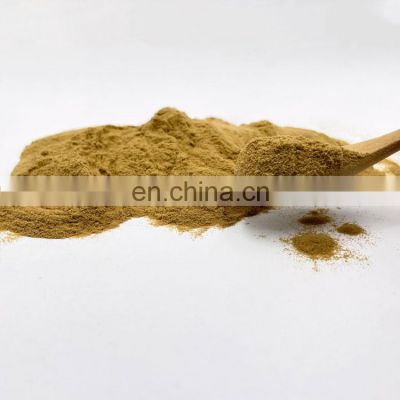 Factory Supply Top Quality Maitake Mushroom Extract/Grifola Frondosa Extract Polysaccharide