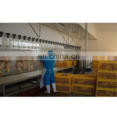 Small Automatic Chicken Slaughtering Poultry Slaughter Equipment Chicken Hair Removal Machine Case Turkey Colombia Thailand Set