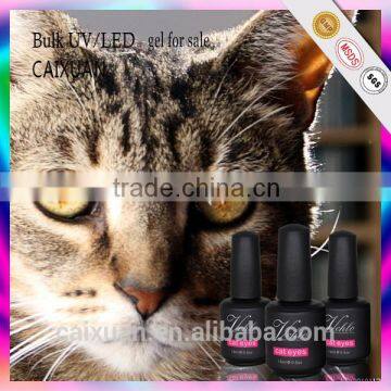 New Arrival Nail Art, Magic uv Gel Polish/ Cat Eye Color Gel Nail Polish photo-2