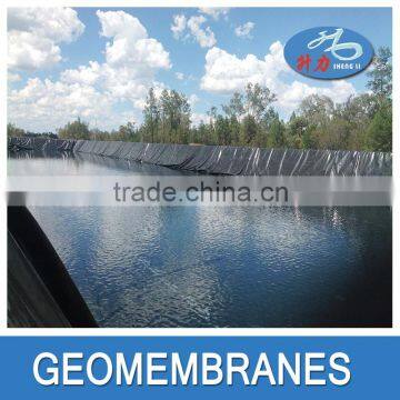High Quality Fish and Shrimp Farm Hdpe Geomembrane photo-3
