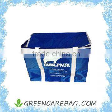 Fashion Promotion printed PP non woven cooler bag for food