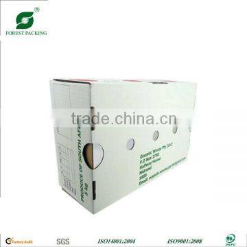 FRUIT PACKING |MANGO BOX|TOMATO BOX photo-6