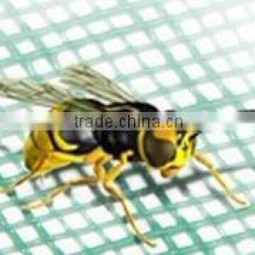 Plastic window mesh insect screens in factory price