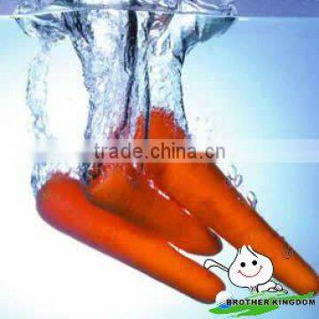 Red Fresh Carrot from Shandong,Latest Crop Originc Carrots