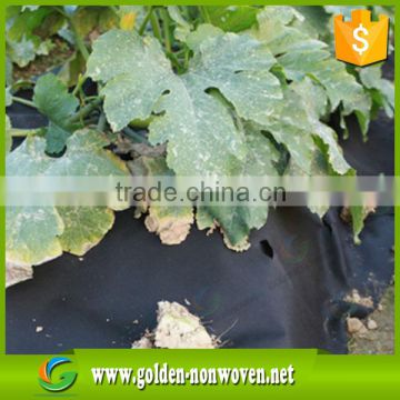 Export weed control fabric used in agriculture landscape, vegetable nonwoven cover