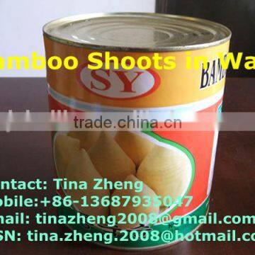 Water Bamboo Shoot in can/tin