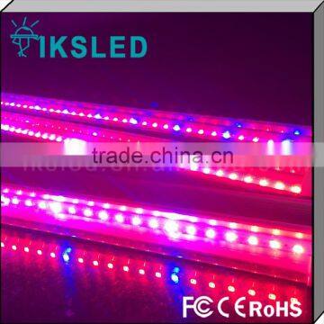 S2016 new product Red Blue color 18W T8 LED grow light tube grow hydroponic light