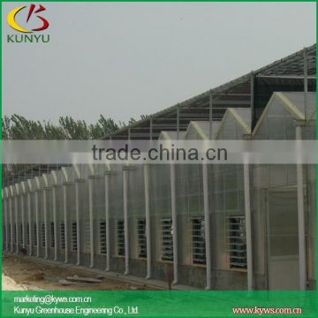 Sawtooth type PC greenhouse poly film for greenhouse portable greenhouse