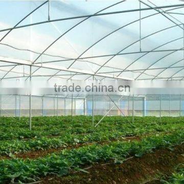 Greenhouse for Horticultural Greenhouse for Vegetable Green Houses Material photo-4