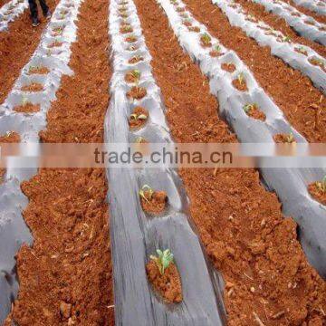 biodegradable film