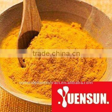 Turmeric Extract Powder 95% Curcumin