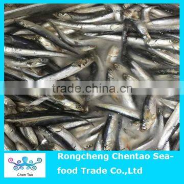 caned anchovies