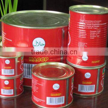3KG High Quality Manufactory China Factory Canned Tomato Paste photo-3