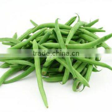 Fresh Vegetables Suppliers photo-2