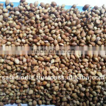 Coriander seed