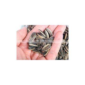 SUNFLOWER SEEDS photo-6