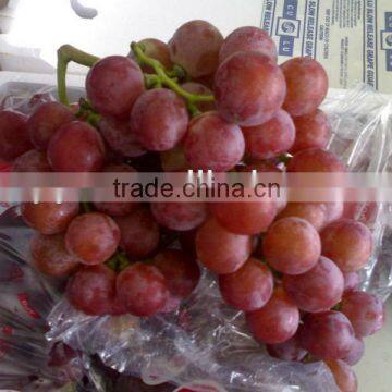 Red global grapes from Yunan