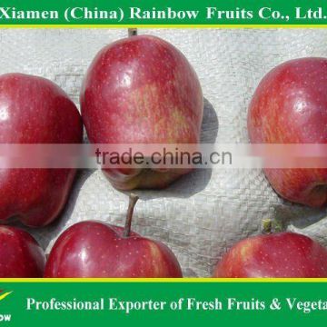 Apple Exporters