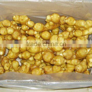 export china fresh ginger whole hot sale