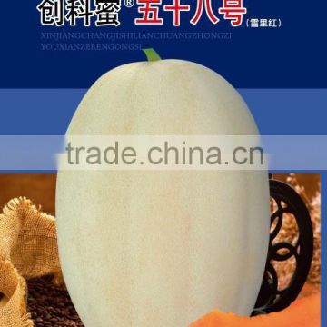 Cantaloupe seeds hybrid muskmelon seeds hami melon seeds For planting-Ke Mi No.58