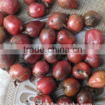Vietnam High Quality Black Cardamom photo-4