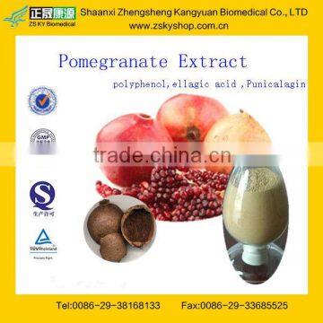 GMP Factory Supply High Quality Pomegranate Extract