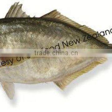 Sashimi Grade New Zealand Trevally