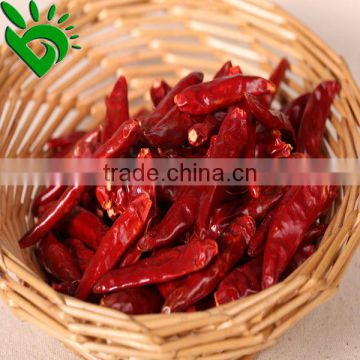 HOT DRY RED CHILLIES WITHOUT STEM