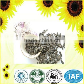 Hot sale new crop chinese sunflower seeds