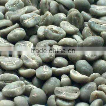 green coffee bean