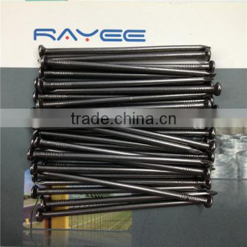 Polished Common Nails in Plastic Bag Manufacturer