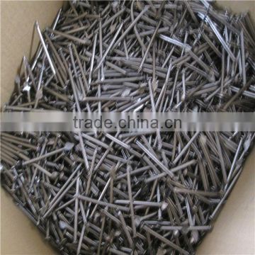 Round Head Black Common Nails/ Factory