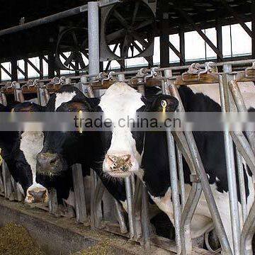Agricultural Equipment Cow Feeder photo-2