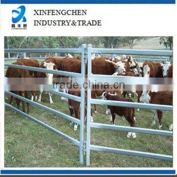 Cattle Horse Panels