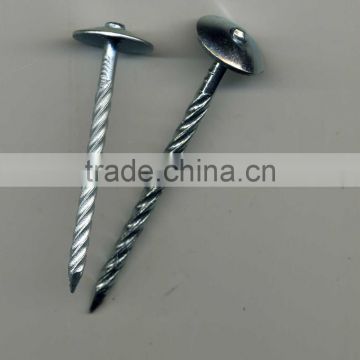 umbrella roofing nails