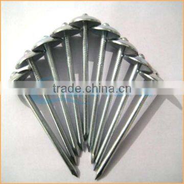 Top Quality Plastic Washers for Roofing Nails Trusted Chuanghe Suppliers From Com photo-5