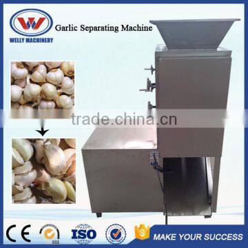 Factory Price Stainless Steel Automatic Garlic Separating Machine photo-4